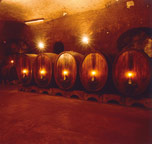 grappa da uve di vino nobile di montepulciano direkt vom produzenten